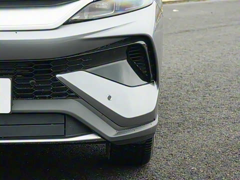 2026�� DM-i 133KM��Խ��