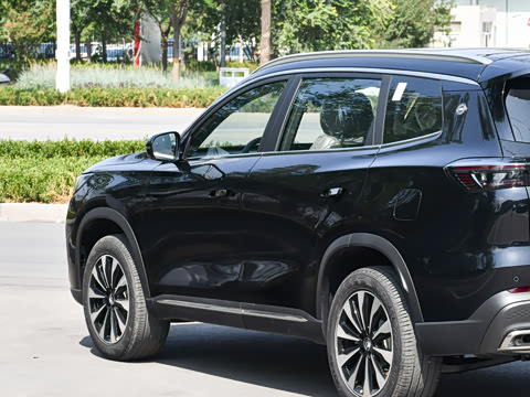 2025�� 290TGDI DCT���ư� 7��