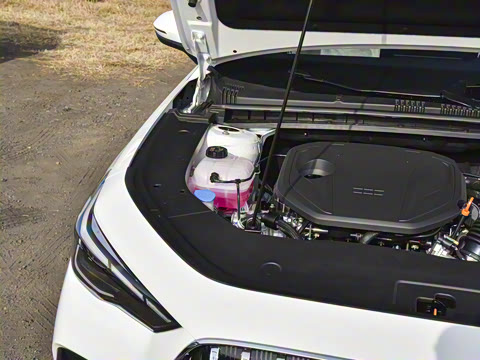 2026�� 125kmԶ����