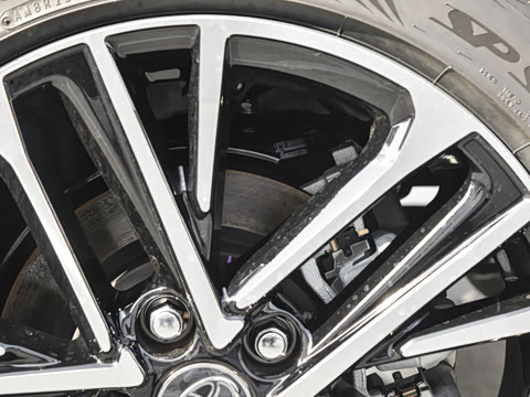 2026�� ˫�� 2.5HG ����