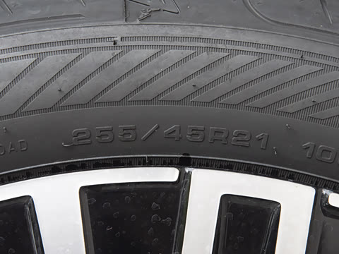 2026�� Max ������