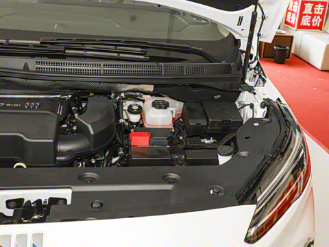 2025�� ½�Ϲ���� ����DG��