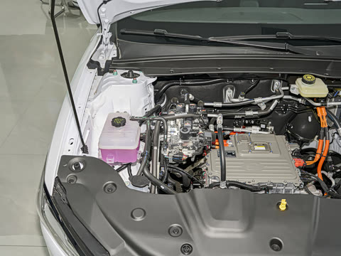 2026�� 530 �������а�