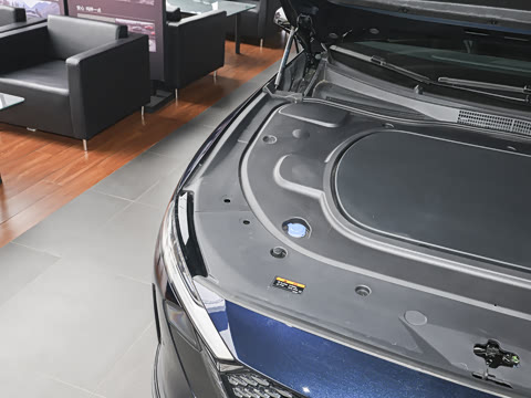 2026�� ����200 Pro�˶���