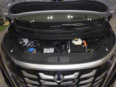 2025�� DM-i ����������