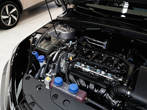 2026�� 1.5L �������� ������