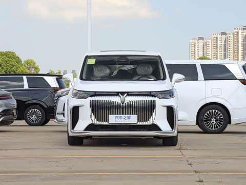 2025�� EV �������������