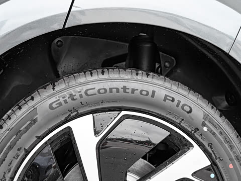 2025�� DM-i 205�캽Pro��