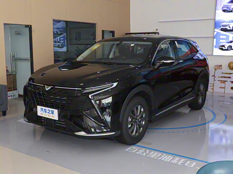 2025�� 1.5T ��ԭ������ 5��