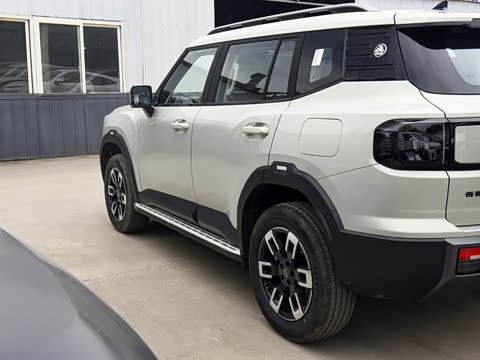 2026�� 2.0T XWD ��Խ