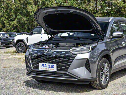 2025�� 290T ��������+