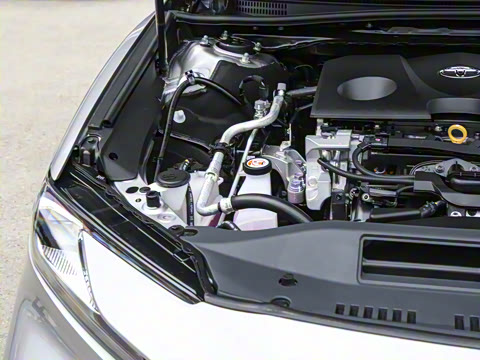 2026�� ˫�� 2.0HSE �˶�Lite��