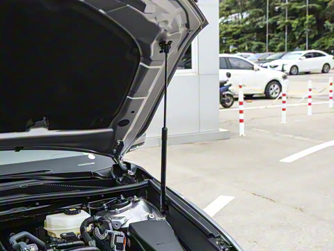 2026�� ˫�� 2.0HSE �˶�Lite��