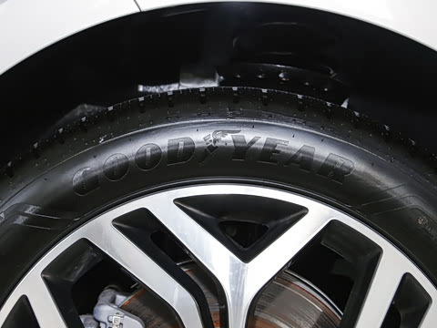 2026�� ��ʤ���� L SE