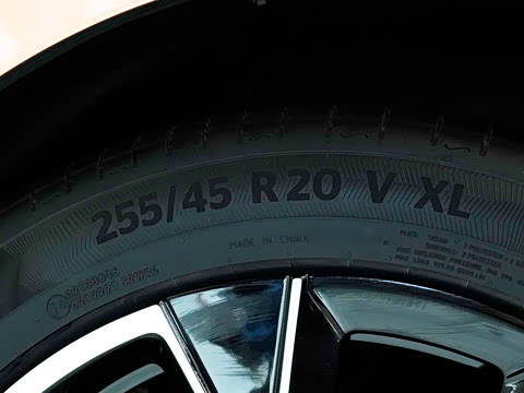 2026�� Max ˫��������