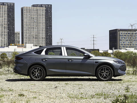 2026�� DM-i 210KM��Խ��