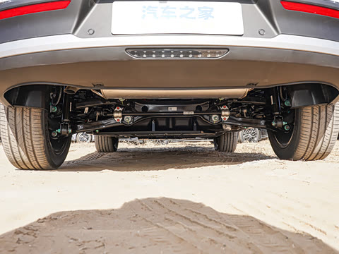 2026�� DM-i 220KM��Խ��