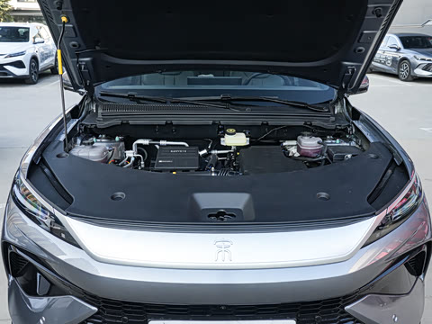 2026�� DM-i 220KM��Խ��