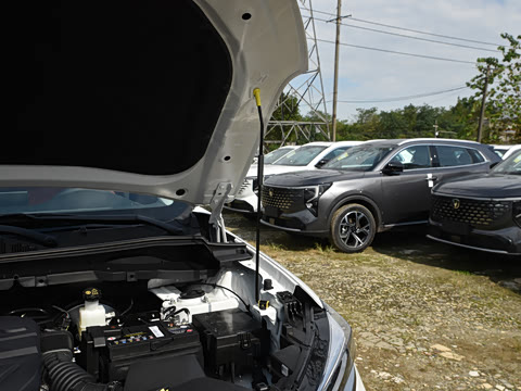 2026�� PRO 1.5T DCT ������ 7��