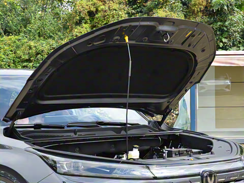 2026�� �ǻ۹ھ��� 1.5T ������ ������