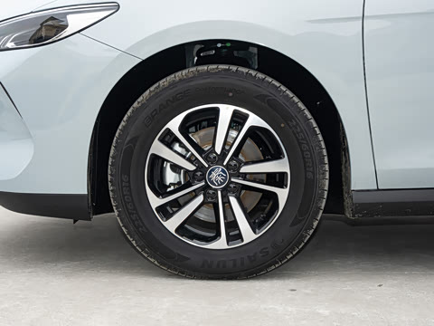 2026�� DM-i 128KM��ȡ��