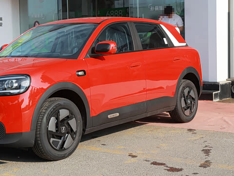 2026�� 310�Ȱ���