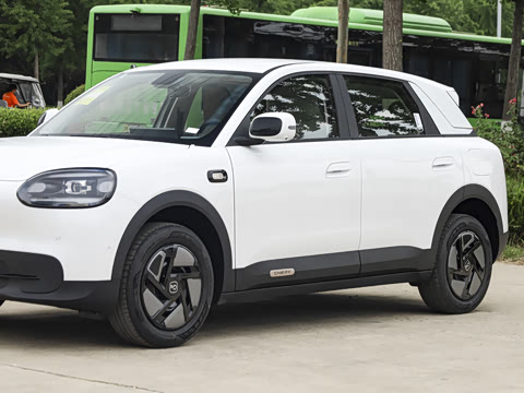 2026�� 310������