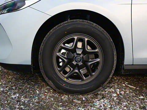 2025�� DM-i �Ǽݰ� 128KM��ȡ��