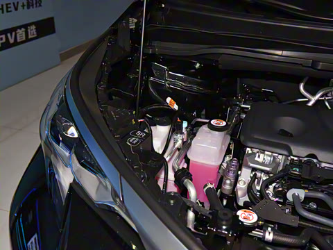 2026�� 2.5L ˫����������