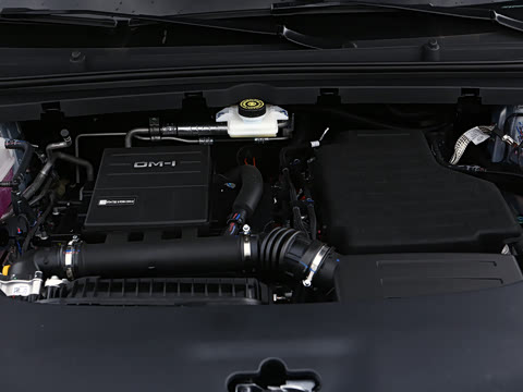 2026�� DM-i 175kW�캽Pro��