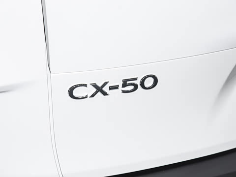 2026�� 2.5L ���а�