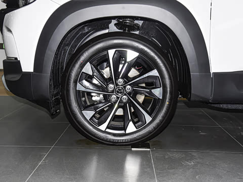 2026�� 2.5L ���а�