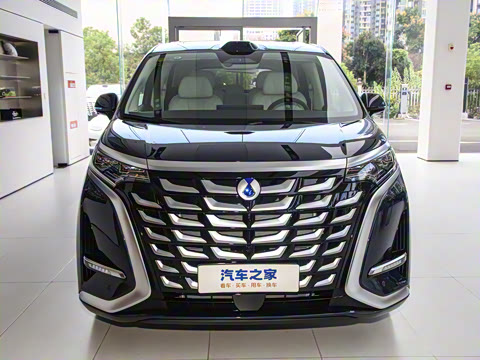 2025�� DM-i ��������