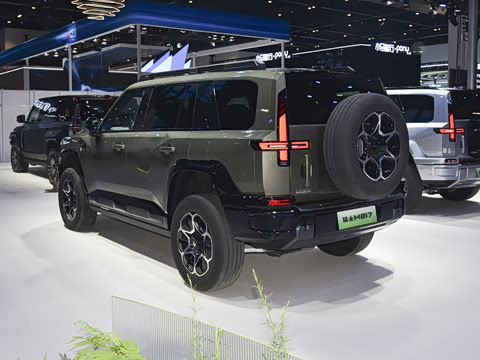 2025�� Pro