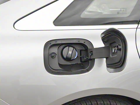 2025�� 260��������������