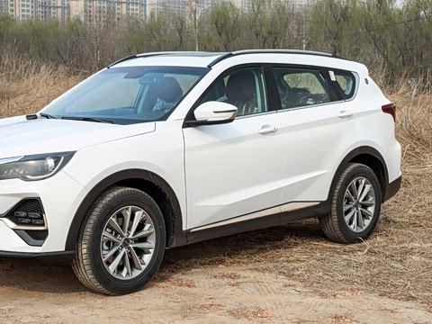 2026�� 1.5T DCT��ԽPRO 5��