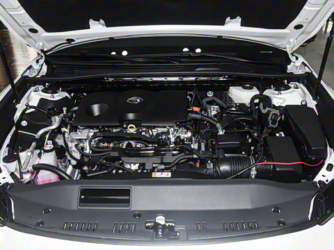 2026�� ˫�� 2.0HS �˶���