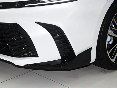 2026�� ˫�� 2.0HS �˶���