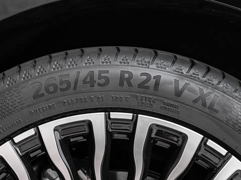 2026�� 66 Ultra ����������