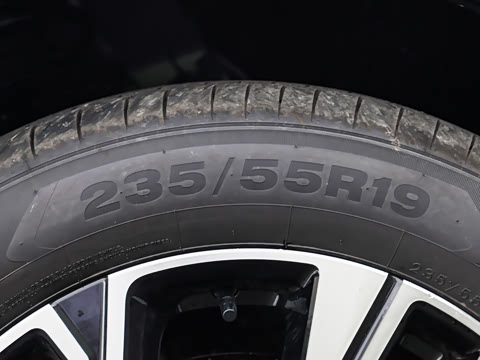 2026�� ���� 310 Max