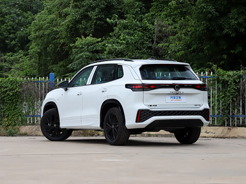 2026�� �Ŀ� ̽��L 300TSI ������Ӣ