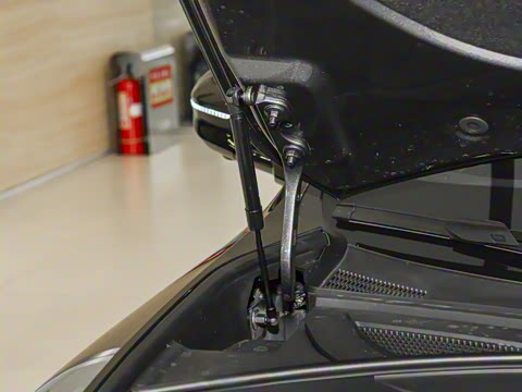 2026�� Max ���̰�