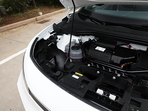 2026�� ������PURE