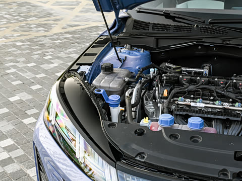 2026�� 1.5L �������� ������