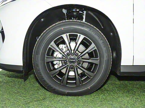 2025�� 520���г��а�