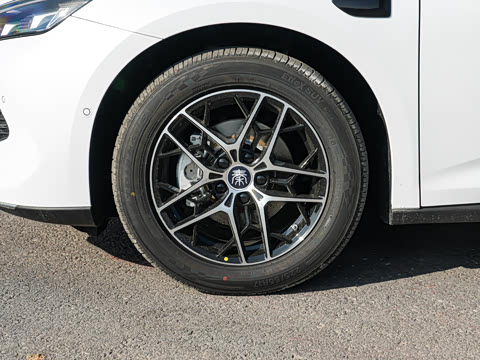 2026�� DM-i 170KM��Խ��