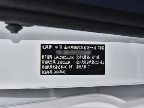 2027�� 2.0L CNG������ 7��