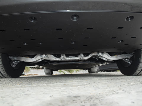 2025�� ���� Max+ ���������� 