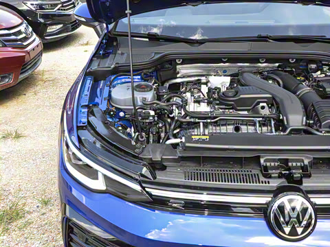 2025�� �Ŀ�� 300TSI R-Line