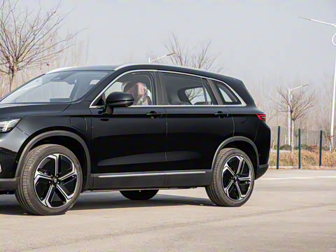 2026�� ��������